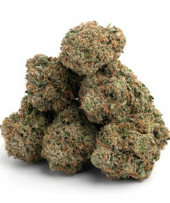 Grease Monkey Strain