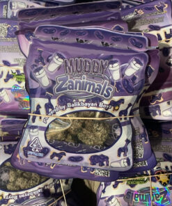 Zanimals Strain 3.5G
