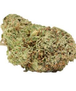 Alternative view of Platinum Kush