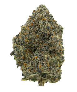 Alternative view of Purple Runtz Strain