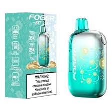 Miami Mint FOGER BIT 35K disposable vape