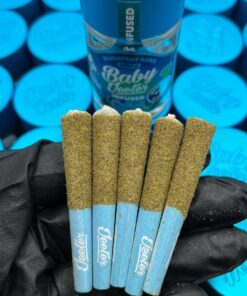 Alternative view of Baby Jeeter Infused Pre Rolls – Jars
