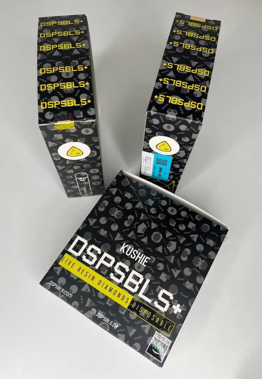 Kushie Disposable 1G - Image 4
