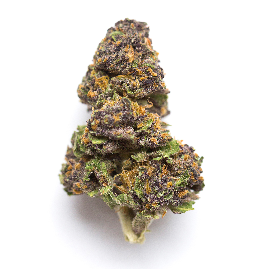 Lato Pop Strain
