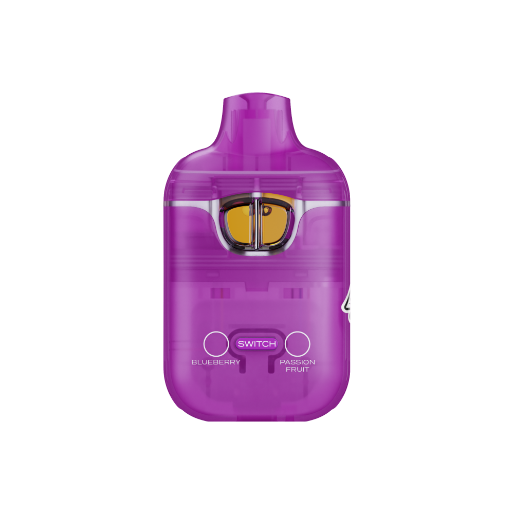 Buy Boutiq V3 Disposables Blueberry / Passion Fruit switch vape