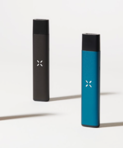 PAXLABS MINI DISPOSABLE VAPE