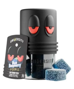 Blue Rasperry University THCA Live Rosin Gummies 10G