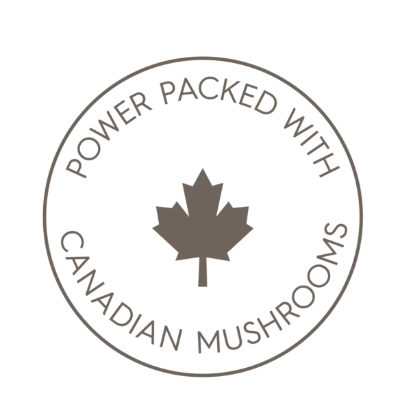 Stay Wyld Organics – Turkey Tail Mushroom Capsules (Bottle of 90) - Image 3