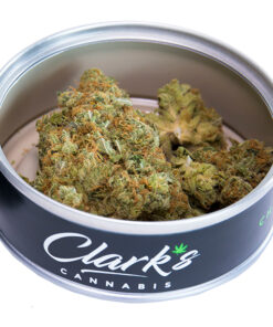 Buy cpray can marijuana packaging Online – Official ZAZA #1