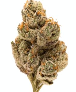 Buy do si dos weed strain Online – do si dos weed strain
