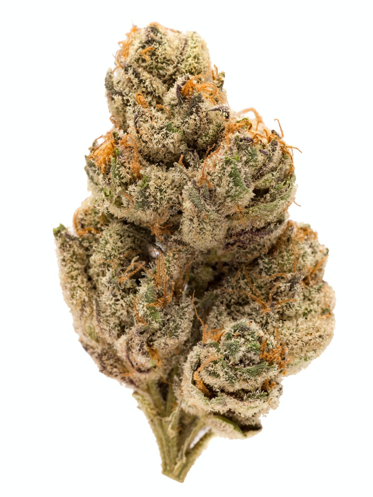 Buy do si dos weed strain Online – do si dos weed strain