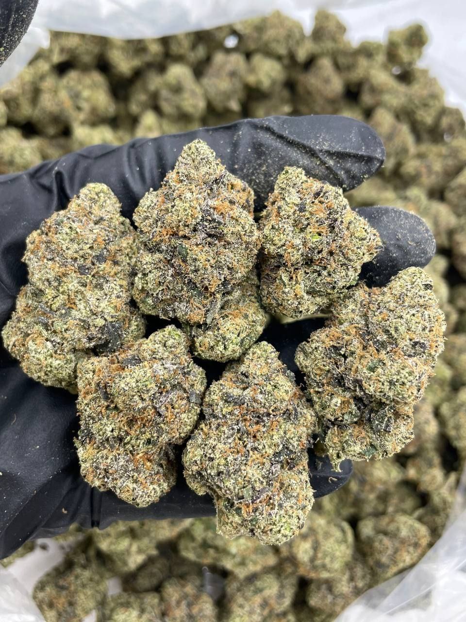 Buy cherry gumbo strain Online – Official ZAZA #1 weed brand
