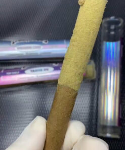 Buy dankwood pre rolled Online – Official ZAZA Dispo Vape #1