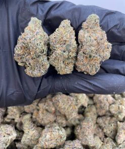Buy cheetah piss strain Online – Official ZAZA Dispo Vape #1