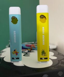 Buy blown disposable Online – Official ZAZA Dispo Vapes #1
