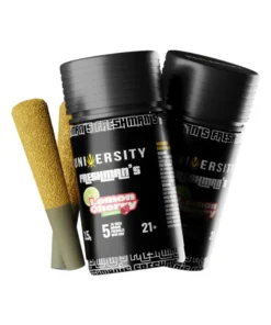 Lemon Cherry Gelato University Freshman’s THCA Indoor Prerolls with Kief 3.5g