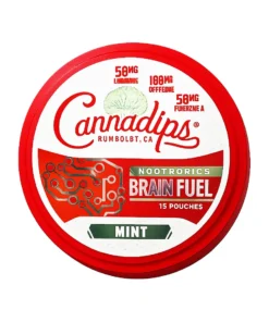 Mint Cannadips Nootropics Brainfuel Pouches 15ct