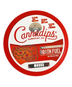 Mocha Cannadips Nootropics Brainfuel Pouches 15ct