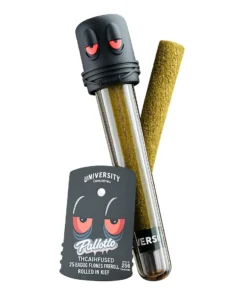 Pablotto University THCA Infused Exotic Flower Pre-Roll 2G