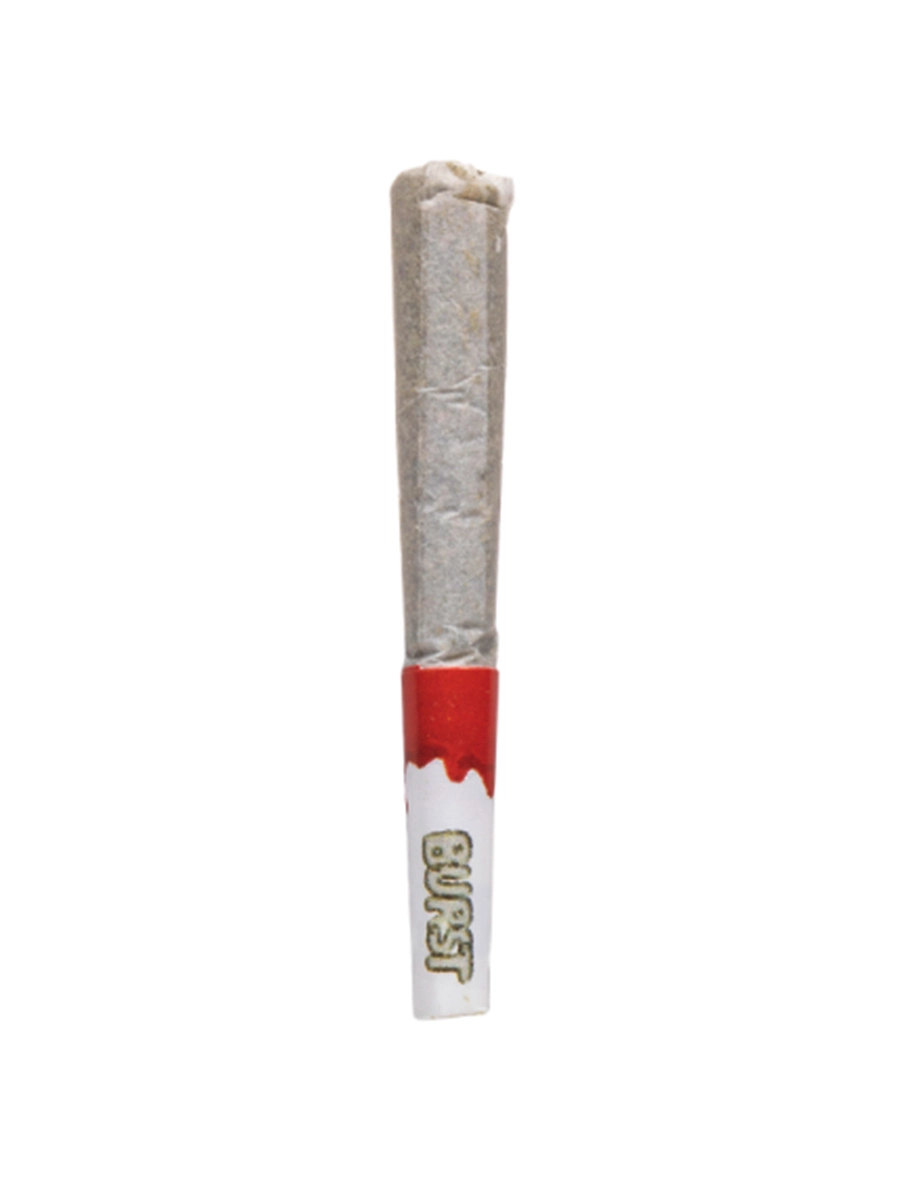 Jelly Dulce Packs Mini Hash Rosin Burst THC-A Pre Rolls 2.5G - Image 2