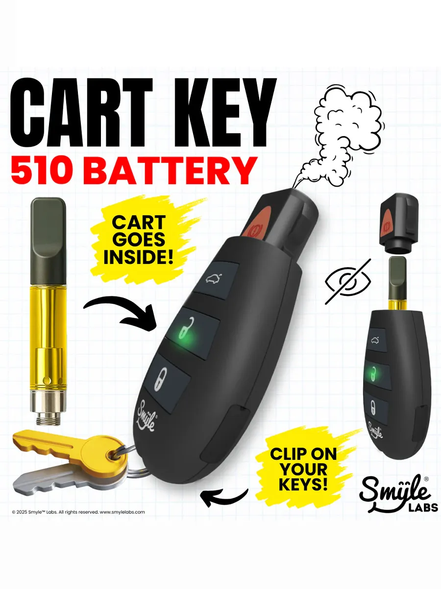 Smyle Labs Car Key Variable Voltage Battery - Image 3