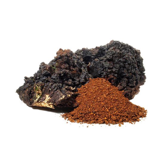Stay Wyld Organics – Chaga Immunity Boost Mushroom Capsules (Bottle of 60) - Image 4