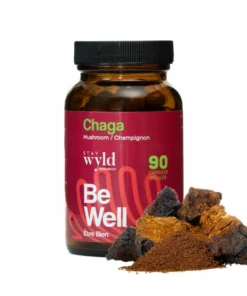 Alternative view of Stay Wyld Organics – Chaga Mushroom Capsules (Bottle of 90)