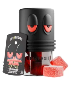 Watermelon Splash University THCA Live Rosin Gummies 10G