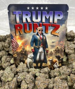 Buy trump runtz strain Online – Official ZAZA Dispo Vape #1